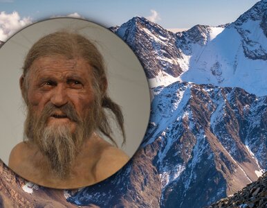 Miniatura: Przeanalizowali DNA prehistorycznego...