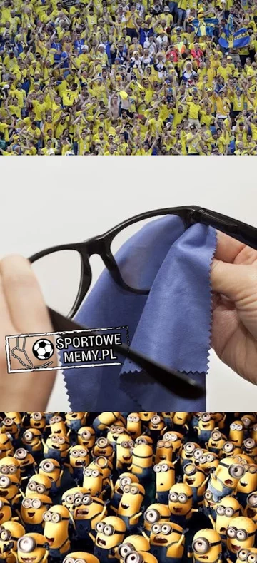Mem po zwycięstwie Niemców ze Szwecją 