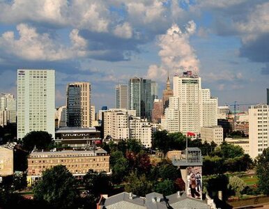 Miniatura: Warszawa stawia łuk triumfalny. Kwestia...