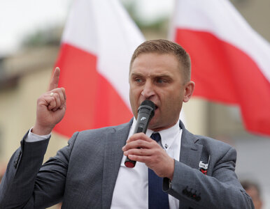 Miniatura: Niemieccy policjanci dostają groźby po...