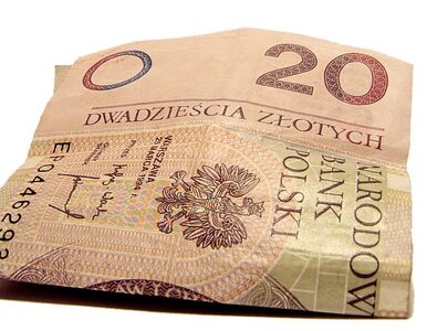Miniatura: Podatki w Polsce znów wzrosły