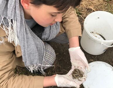 Wielka misja Stasia. 13-latek pokazał dorosłym, jak ratować... żaby