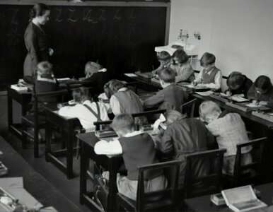 Miniatura: 10 pytań z wiedzy szkolnej. Musisz zgarnąć...