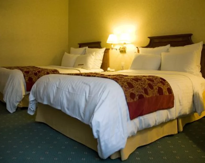 Miniatura: Nocleg w Szwecji? Poproszę... jeden obraz