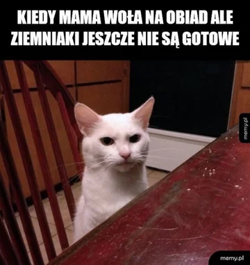 Dzień wolny? Internauci odpowiadają memami 