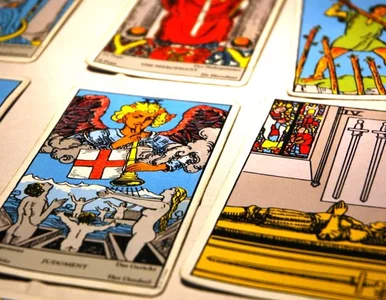 Miniatura: Wróżbita Maciej: cała Polska mnie słucha