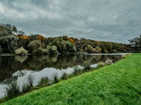 Miniatura: Ten pomysł rozwścieczył wiele osób. Znany...