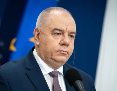 Miniatura: Jacek Sasin: Poprosiłem spółki Skarbu...