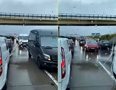 Miniatura: Nie chcieli czekać w korku, zawrócili na...