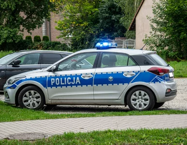 Miniatura: Wielka akcja policji. Tylu kierowców...