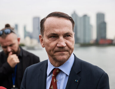 Miniatura: Sikorski „kocha wyjaśniać rosyjską...