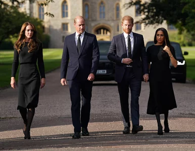 Miniatura: Książę Harry opisał kłótnię między Kate i...