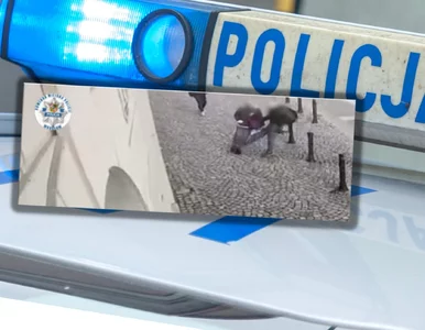 Miniatura: Wrocław. 30-latek podszedł i kopnął...