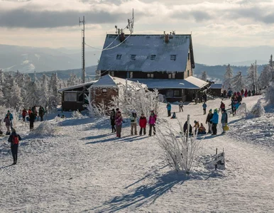 Miniatura: To najlepsze stoki w sezonie 2023/2024....