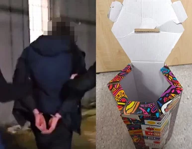 Miniatura: Ukradł puszkę WOŚP. Grozi mu 10 lat więzienia