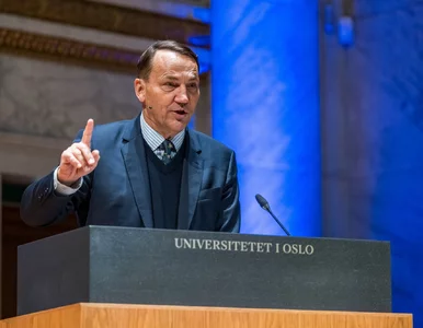 Miniatura: Sikorski zabrał głos ws. Trumpa. Jedno...