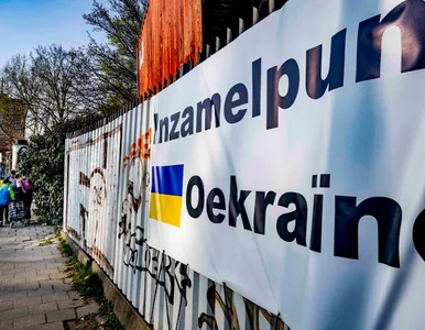 Miniatura: Holandia odczuła skalę migracji z Ukrainy....