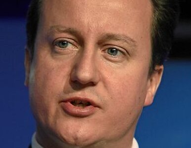 Miniatura: Cameron chce wycofania wojsk z Afganistanu