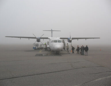 Miniatura: Gęsta mgła sparaliżowała lotnisko w...