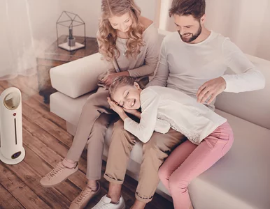 Miniatura: Jaki nawilżacz powietrza dobrać do domu a...