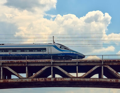 Miniatura: Pociąg się zepsuł, pasażerka...