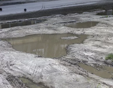 Miniatura: Czyżby biolodzy coś przeoczyli?...