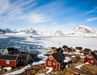Miniatura: Grenlandia chce zarobić na zmianach...