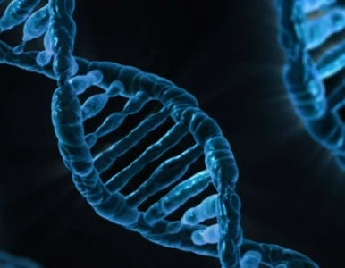 Miniatura: Czy płodność mamy zapisaną w DNA? Geny...