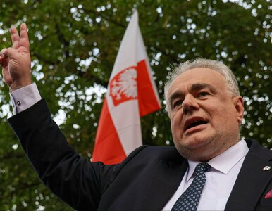 Miniatura: Manifestacja w Warszawie. Sakiewicz wzywa...