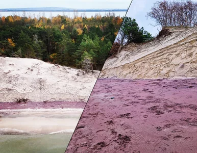 Miniatura: Widok jak z bajki. Plaża nad Bałtykiem...