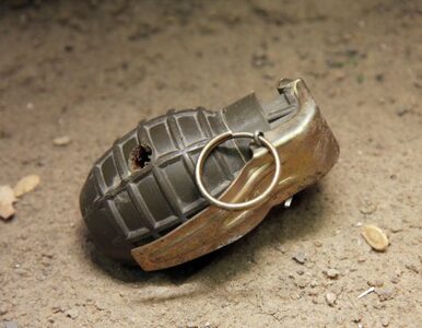 Miniatura: Pokazywała kolegom uzbrojony granat....