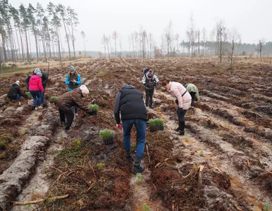 Miniatura: PZU rusza ku neutralności klimatycznej