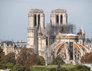 Miniatura: Z Notre Dame wkrótce znikną rusztowania....