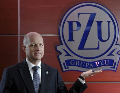 Miniatura: 250 tysięcy Polaków chce kupić akcje PZU