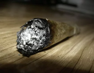 Miniatura: Tylko u nas: Pobici za jointa? "Policja...