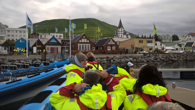 Podglądanie wielorybów to dla Islandczyków niezły biznes