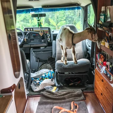 Karetka przerobiona na mieszkanie 