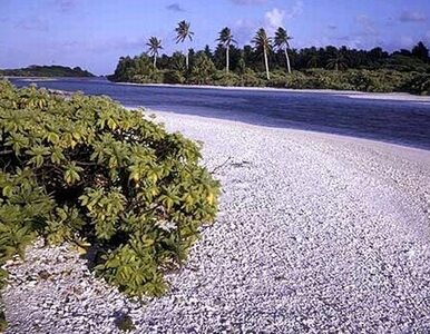 Miniatura: Kiribati wkroczyło w 2011 rok. Honolulu...