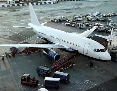 Miniatura: Bohaterski pasażer lotu do Detroit każe...