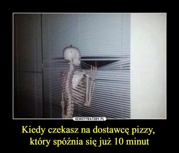 Memy z pizzą w roli głównej 