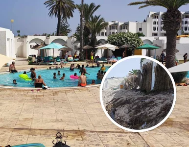 Miniatura: Robaki, brak jedzenia, plaża zabrana przez...