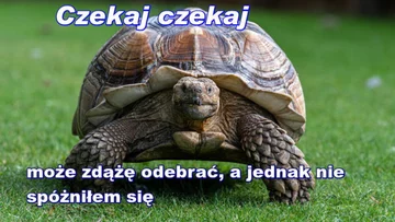 Memy po meczu Polska-Anglia 