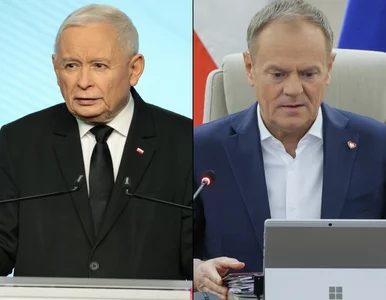 Miniatura: Sensacja w najnowszym sondażu! Polacy...