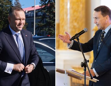 Miniatura: Zgrzyt przed wizytą Sikorskiego i...