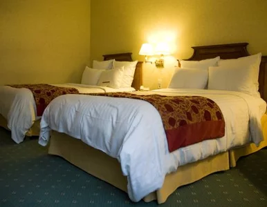 Miniatura: Nocleg w Szwecji? Poproszę... jeden obraz