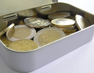 Miniatura: Złotówki zapewnią płynność walutową Islandii
