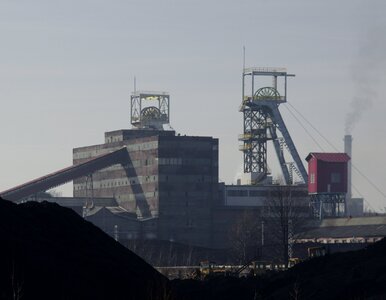 Miniatura: Wiesz, z czego słynie Bełchatów, Mielec...