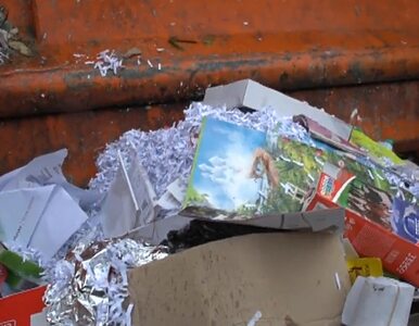 Miniatura: W Jeleniej Górze kradną papier ze śmietników