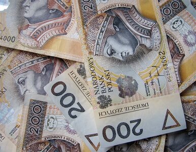 Miniatura: Przedsiębiorcy uciekną przed składkami na...