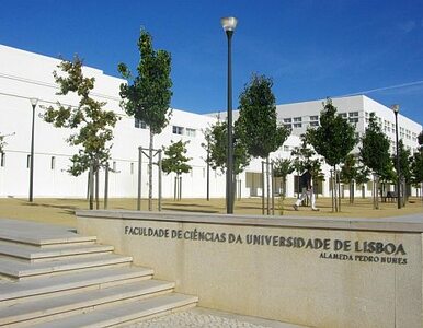 Miniatura: Uniwersytet Lizboński przestanie działać?